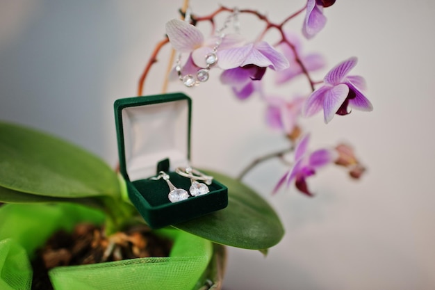 Accesorios de boda de pendientes de novia en la flor orquídea