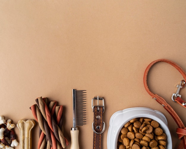 Accesorios para mascotas con plato de comida y golosinas