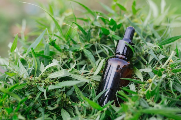 Aceite de cannabis, extracto de cannabis con aceite de CBD, concepto de cannabis medicinal.