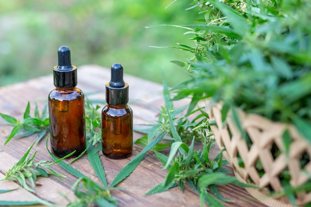 Aceite de cannabis, extracto de cannabis con aceite de CBD, concepto de cannabis medicinal.