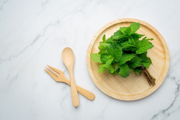 Aceite esencial de menta en botella con menta verde fresca