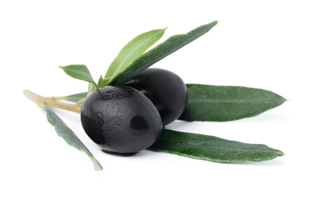 Aceitunas negras con hojas aisladas sobre fondo blanco.