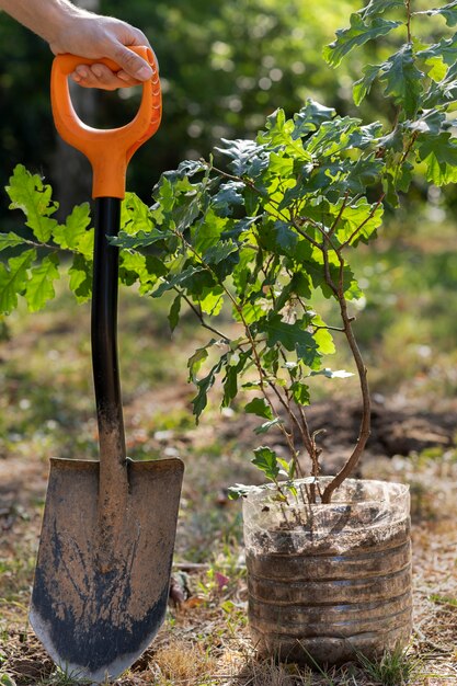 Acerca de plantar nuevas plantas en la naturaleza