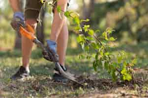 Foto gratuita acerca de plantar nuevas plantas en la naturaleza