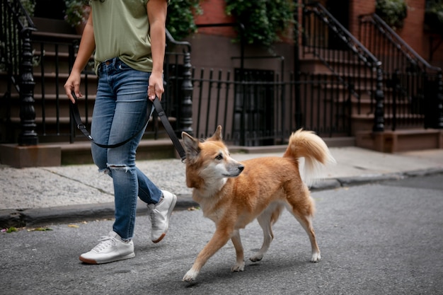 Foto gratuita acercamiento al estilo de vida de las mascotas