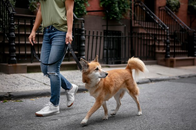 Acercamiento al estilo de vida de las mascotas