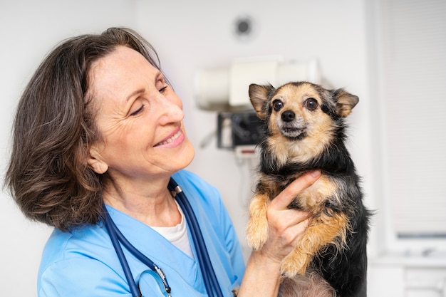 Acercamiento al médico veterinario cuidando a la mascota