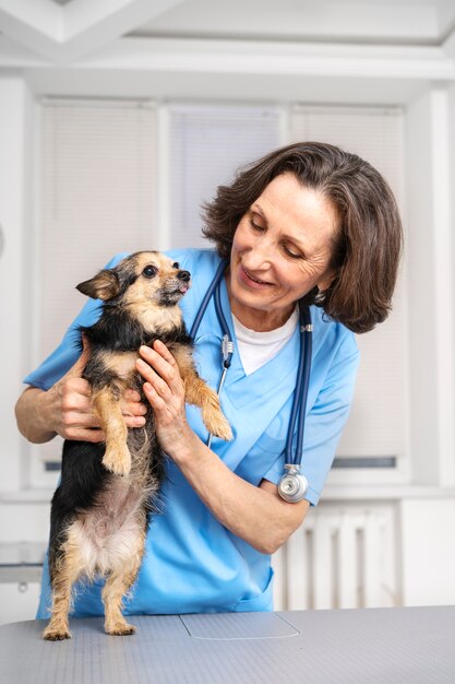 Acercamiento al médico veterinario cuidando a la mascota