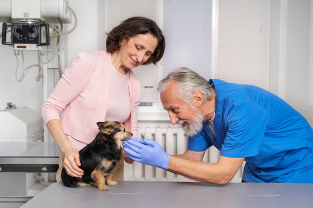 Acercamiento al médico veterinario cuidando a la mascota