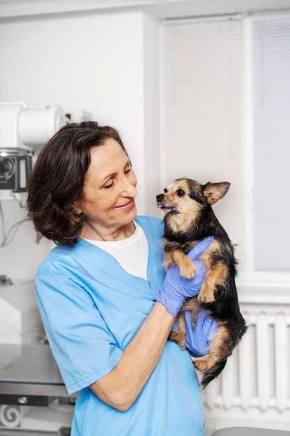 Acercamiento al médico veterinario cuidando a la mascota