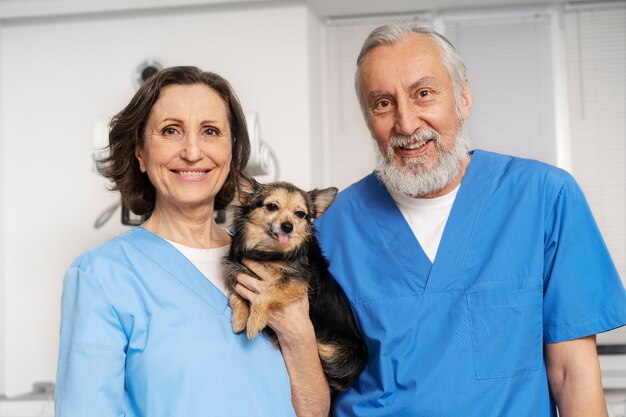 Acercamiento al médico veterinario cuidando a la mascota