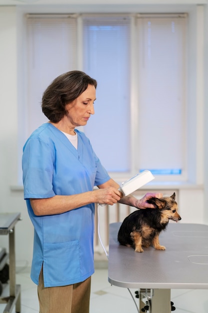 Foto gratuita acercamiento al médico veterinario cuidando a la mascota