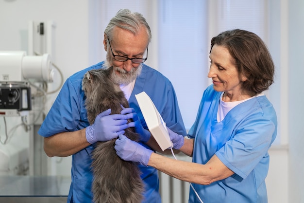 Acercamiento al médico veterinario cuidando a la mascota