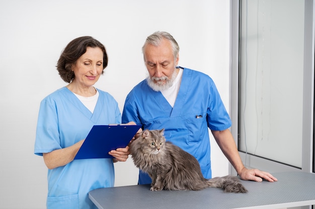 Acercamiento al médico veterinario cuidando a la mascota