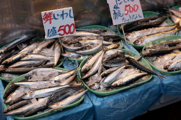 Acercamiento a la comida callejera japonesa