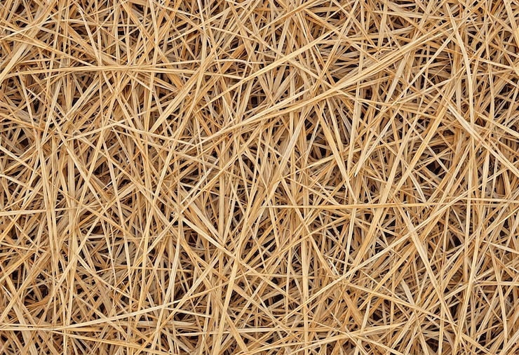 Foto gratuito acercamiento a la textura natural