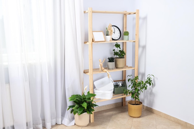 Foto gratuita acogedor pasatiempo que cultiva plantas de interior en casa