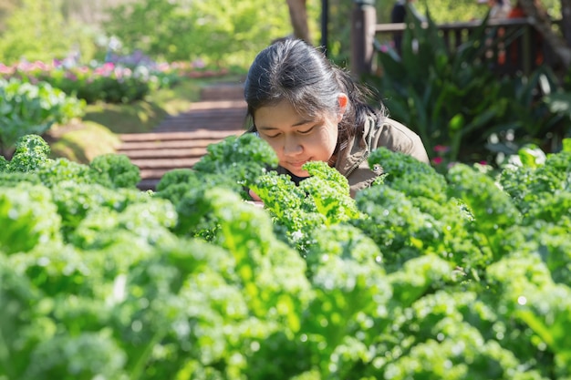 Adolescente en el jardín hidropónico durante el fondo de comida de tiempo de mañana