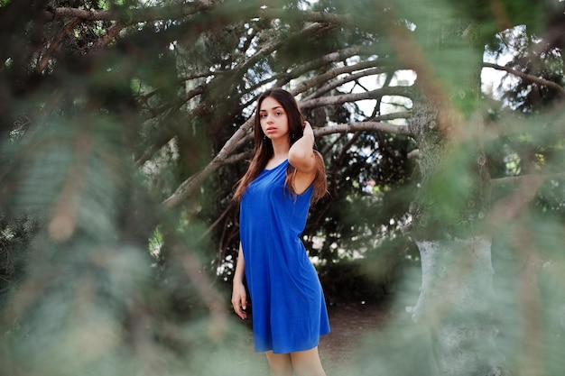 Foto gratuita adolescente en vestido azul posó al aire libre en un día soleado