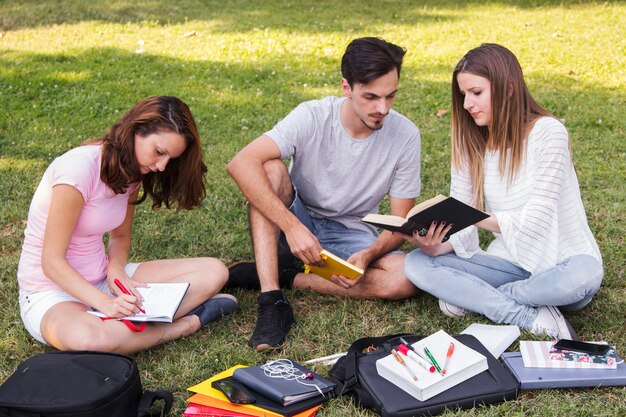 Adolescentes estudiando juntos en el parque