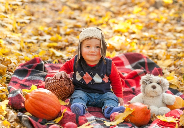 Foto gratuita adorable bebé con gorro de piel sobre una manta de picnic