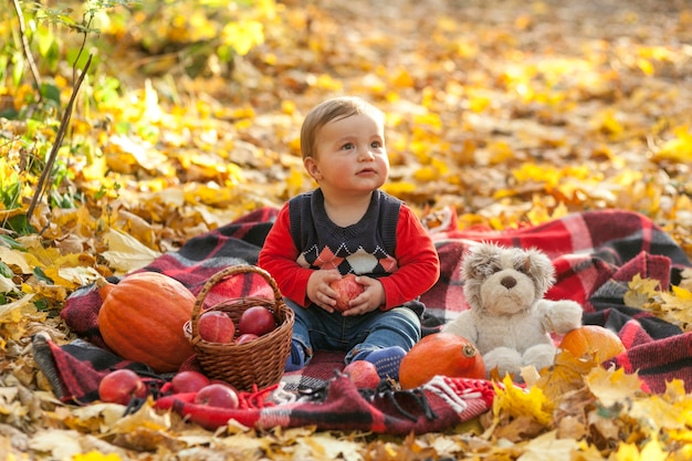 Adorable niño con manzanas y osito de peluche