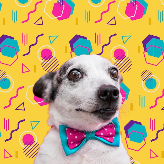 Adorable perro con fondo gráfico colorido abstracto