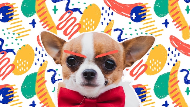 Foto gratuita adorable perro con fondo gráfico colorido abstracto