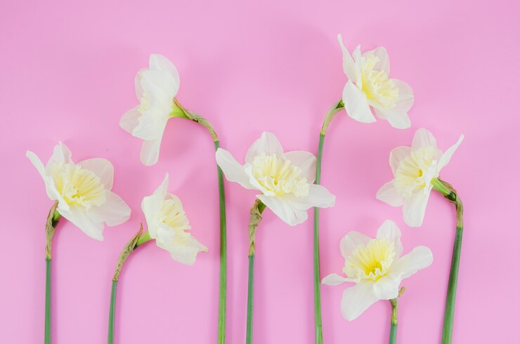 Foto gratuito adornos florales