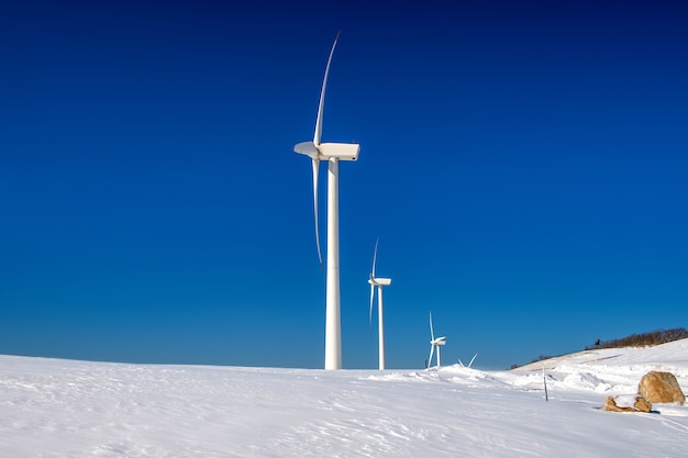 Aerogenerador y cielo azul en paisaje invernal