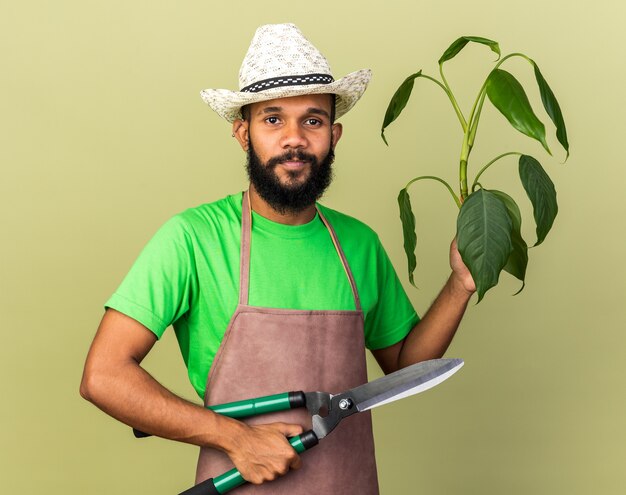 Agradable joven jardinero afroamericano vistiendo sombrero de jardinería sosteniendo plante con tijeras aislado en la pared verde oliva