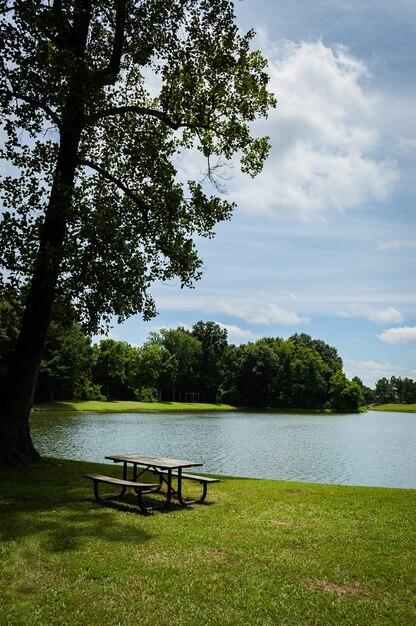 agradable paisaje del parque con rayos de sol brillando en el lago