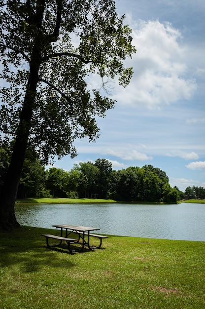 agradable paisaje del parque con rayos de sol brillando en el lago