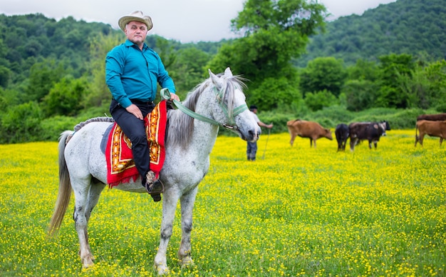 Agricultor en el caballo cuidando vacas en la plantación