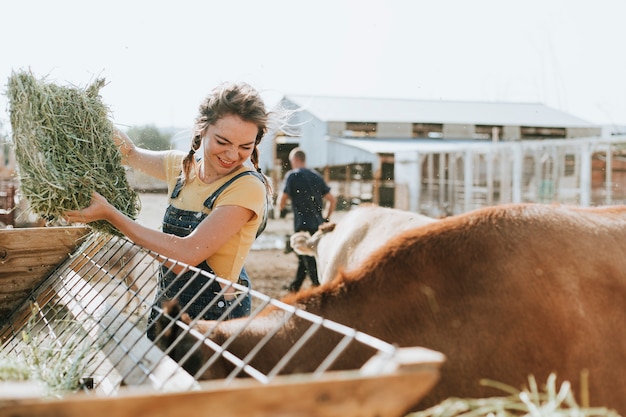 Agricultor cuidando a los animales.