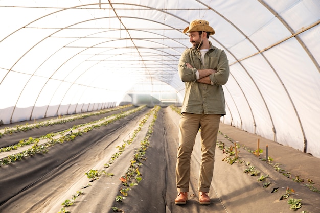 Agricultor inspeccionando cultivos de plantas en su granja