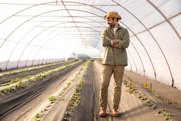 Agricultor inspeccionando cultivos de plantas en su granja