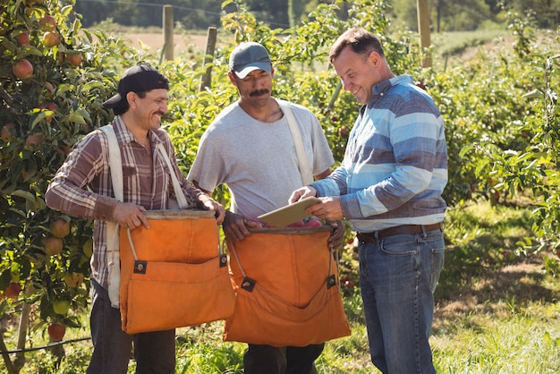 Agricultor interactuando con agricultores en huerto de manzanas