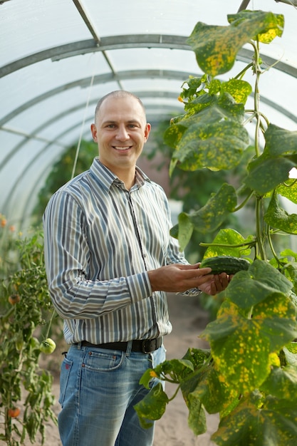 Foto gratuita agricultor mira la planta de pepinos