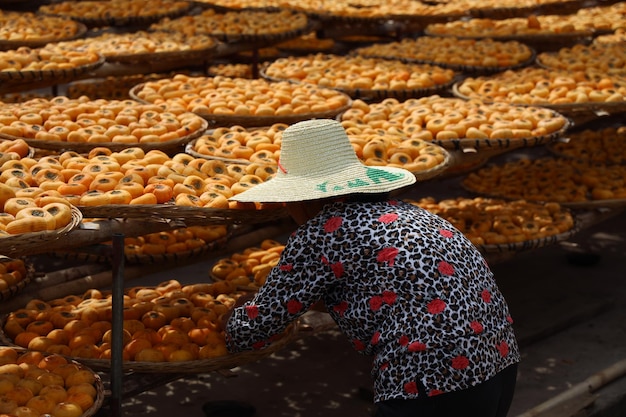 Foto gratuita agricultor organizando caquis recién recogidos en cestas