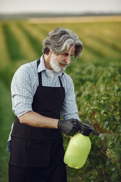 Agricultor rociar verduras en el jardín con herbicidas. Hombre con delantal negro.