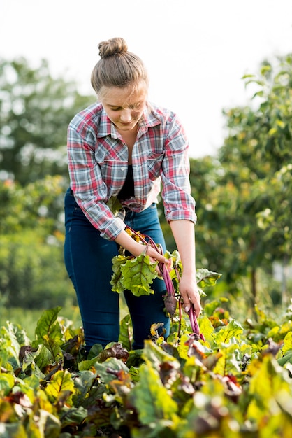 Foto gratuita agricultor tirando de la planta del campo