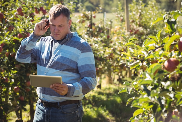 Agricultor usando tableta digital mientras habla por teléfono móvil en huerto de manzanas