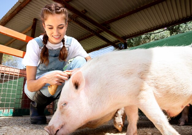 La agricultora alimentando a los cerdos