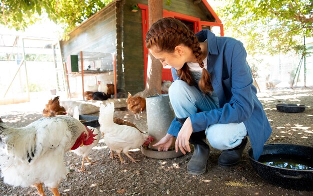 La agricultora alimentando a los pollos