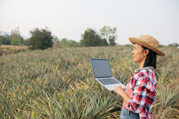 La agricultora asiática ve el crecimiento de la piña en la granja. Industria agrícola, concepto de negocio agrícola.