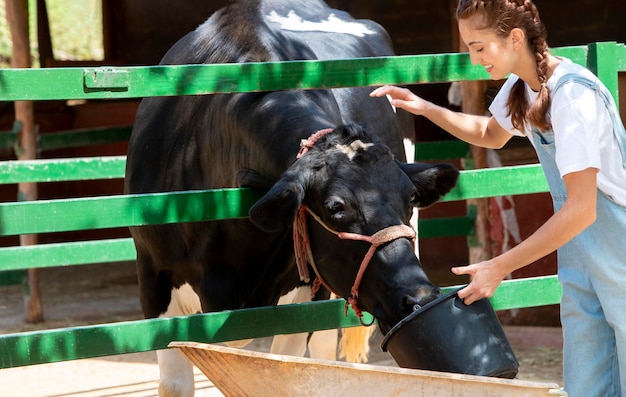 La agricultora cuidando una vaca