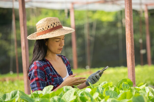 Agricultores asiáticos que trabajan con el móvil en la granja hidropónica de verduras con felicidad. Retrato de mujer agricultora que controla la calidad de la ensalada verde con una sonrisa en la granja de la casa verde.