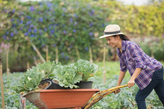 Los agricultores están trabajando en la granja de hortalizas. carro