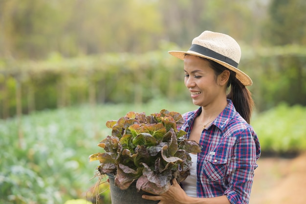 Los agricultores están trabajando en la granja de lechuga de roble verde